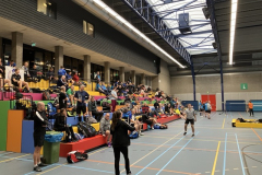 IMG_8281-normaal